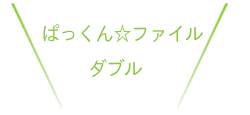 メンバー紹介