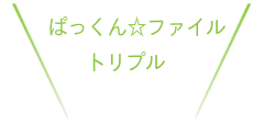 メンバー紹介
